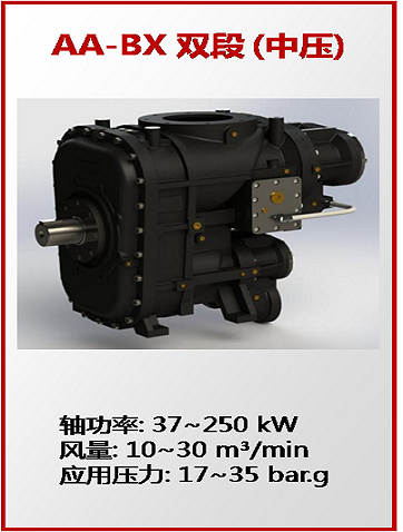 AA-BXshuangduanzhongya1-222